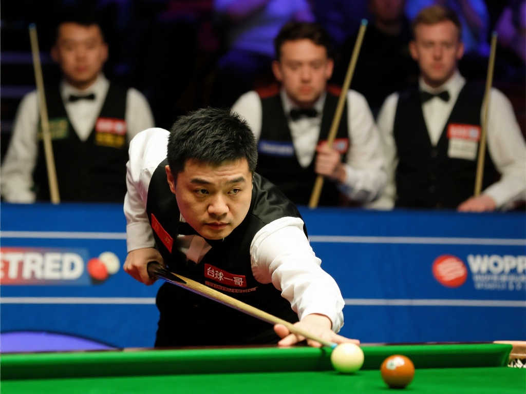 仅让球迷大 仅让球迷大